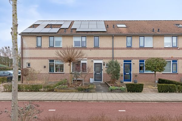 Duiven – Pinksterbloem 19