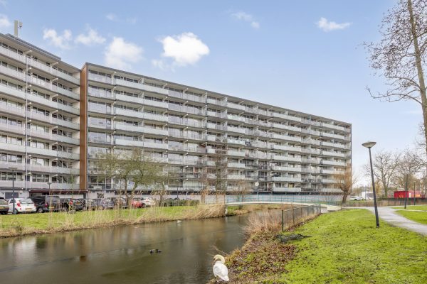 Leiden – Arendshorst 79
