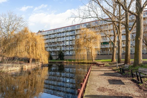 Leiden – Jacques Urlusplantsoen 175
